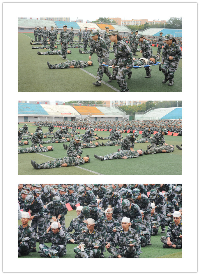 15vip太阳集团